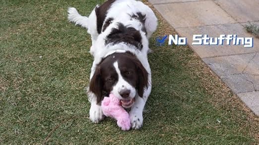 צעצוע חשיבה לכלב — SHARLOVY Dog Squeaky Toys 5 Pack, Pet Crinkle Toy No Stuffing Animals Plush, Dog