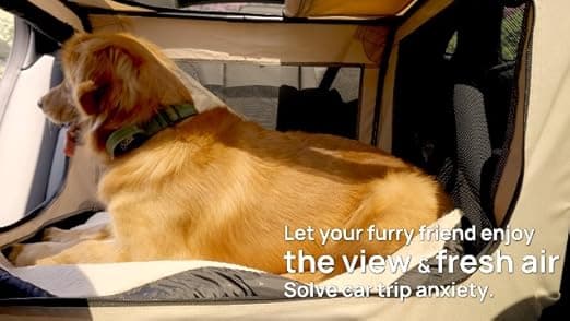 כלוב לכלב — HICC PULE Collapsible Portable Dog Crate, 36 Inch Large Dog Crate Ideal as Trave