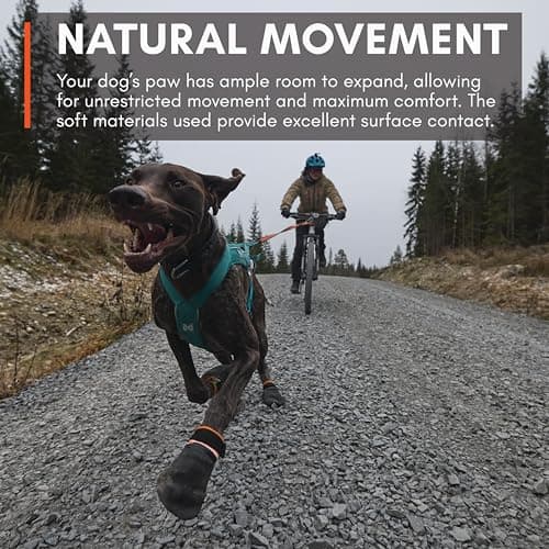 נעליים לכלב — Non-stop dogwear Protector Booties, 4-Pack of Dog Booties for Hot Pavement and R