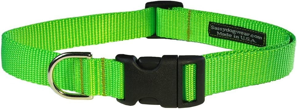 קולר לכלב — Medium Neon Pink Nylon Webbing Dog Collar: 3/4" Wide, Adjusts 13-20" - M