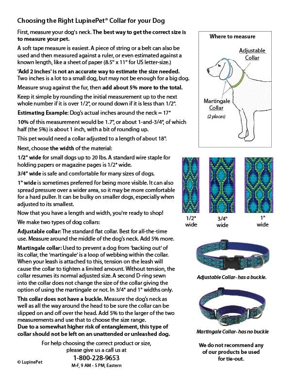 קולר לכלב — Lupine Small Dog Collar 3/4" wide Petunias design Adjusts from 9" to 14"