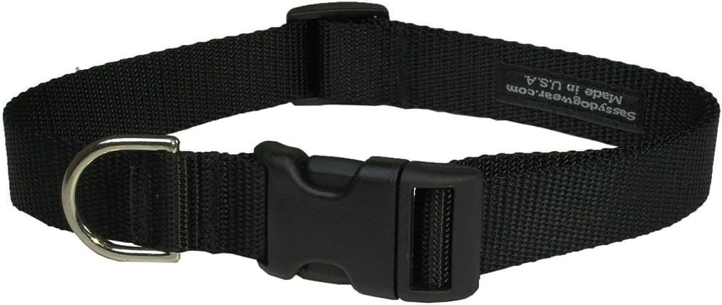 קולר לכלב — Medium Neon Pink Nylon Webbing Dog Collar: 3/4" Wide, Adjusts 13-20" - M