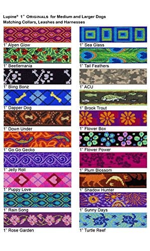 קולר לכלב — LupinePet Originals 1" Alpen Glow 12-20" Adjustable Collar for Medium and Larger
