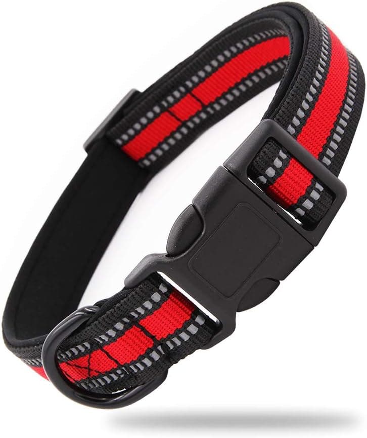 קולר לכלב — BluePaw-2 Colours Premium Nylon Soft &amp; Safe 3M Reflective Pastel Neoprene Pa