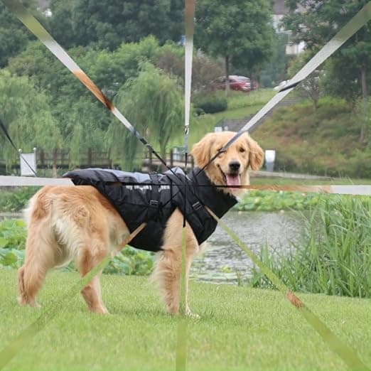 מעיל לכלב — Dog Winter Jacket for Medium Large Dogs,Waterproof Reflective Dog Coat with Harn