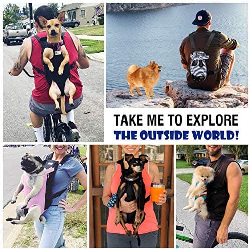 נשאית/תיק לכלב — Pawaboo Pet Carrier Backpack M Size Black & Dog Sunglasses for Small Dog