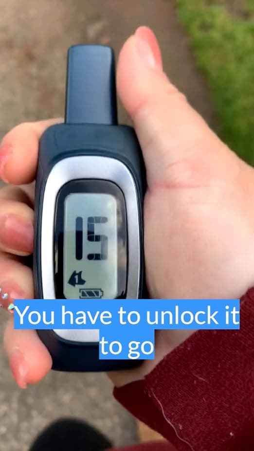 עזר אילוף לכלב — PetSafe 300 Yard Remote Training Collar – Smaller Version for Small or Medium Do