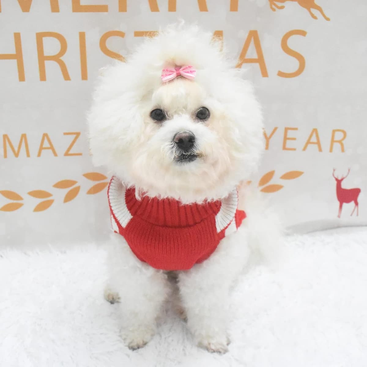 ביגוד לכלב — SMDARROY Red Cute Pet Puppy Cat Dog Warm Jumper Sweater Knit