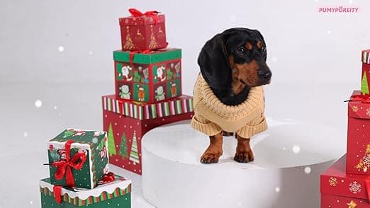 בגדים לכלב — PUMYPOREITY Dog Clothes Winter, Comfortable Stretch Knit Sweater, High Neck, Hol