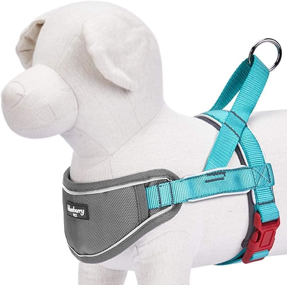 רתמה/רצועה לכלב — Blueberry Pet 8 Colors Soft &amp; Comfy 3M Reflective Strips Padded Dog Harness 