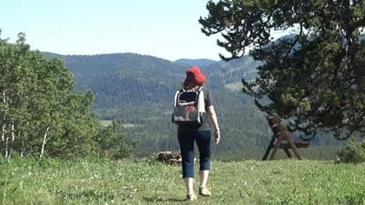 נשאית/תיק לכלב — Texsens Innovative Traveler Bubble Backpack Pet Carriers for Cats and Dogs (Blac