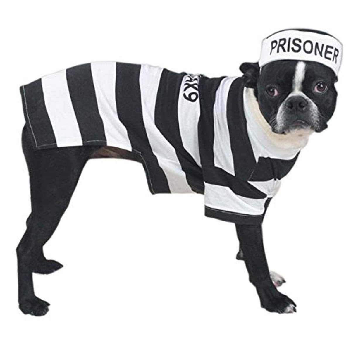 תחפושת לכלב — Casual Canine Prison Pooch Costume for Dogs, 24" XL, Black and White