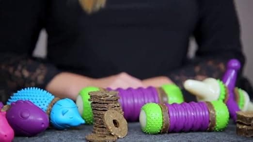 צעצוע חשיבה לכלב — PetSafe Busy Buddy Natural Rawhide Rings - Long-Lasting Dog Chew Refills - Engag