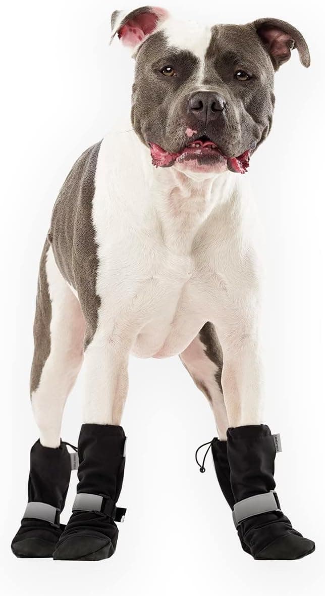 נעליים/מגפיים לכלב — Canada Pooch Dog Winter Boots - Paw Protection, Anti-Slip Do