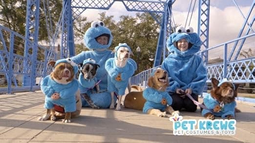 תחפושת לכלב — Pet Krewe Unleash The Parade X-Large Cookie Monster Dog Costume Sesame Street Pe