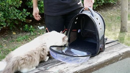נשאית/תיק לכלב — Lekereise Cat Backpack Carrier, Expandable Large Space Cat Bubble Backpack for K