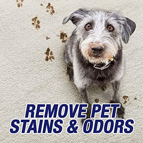 מוצר ניקיון לכלב — Resolve Ultra Pet Odor and Stain Remover Spray – Carpet Cleaner for Cat and Dog 