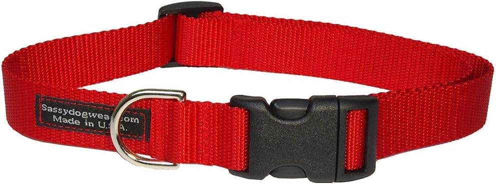 קולר לכלב — Medium Neon Pink Nylon Webbing Dog Collar: 3/4" Wide, Adjusts 13-20" - M