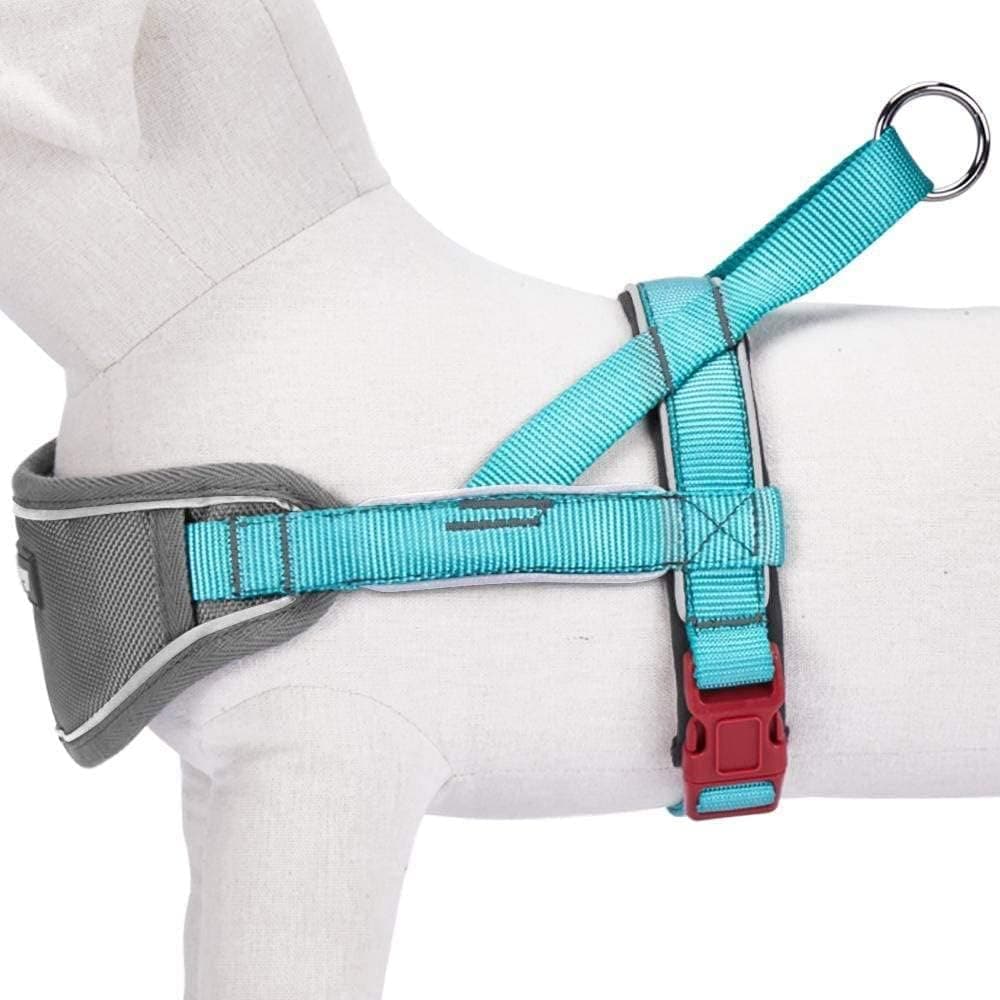 רתמה/רצועה לכלב — Blueberry Pet 8 Colors Soft &amp; Comfy 3M Reflective Strips Padded Dog Harness 