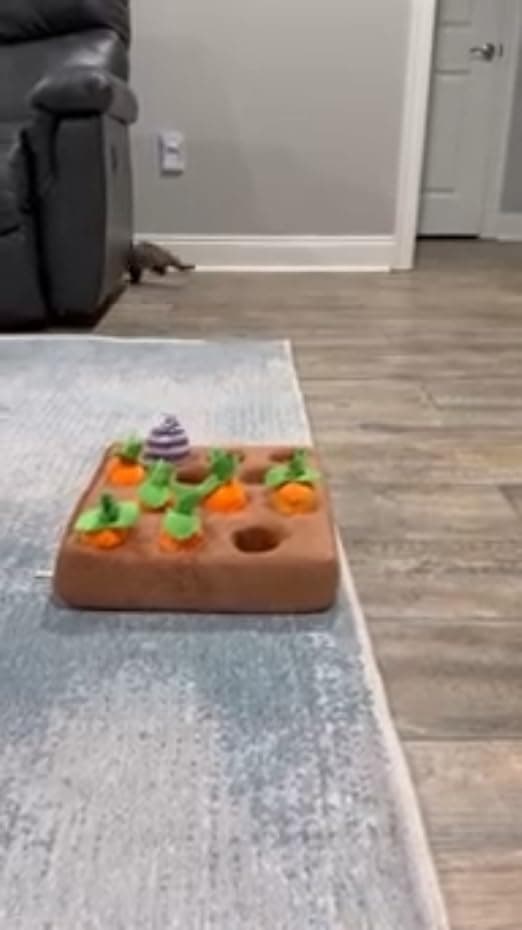 צעצוע חשיבה לכלב — Ferret Foraging Toys Novelty Carrot Snuffle Mat Interactive Pet Treat Enrichment