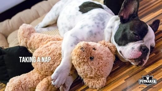 מלונה לכלב — Dog Playpen - Foldable Metal Exercise Puppy Play Pen with 8 24x30in Panels - Ind