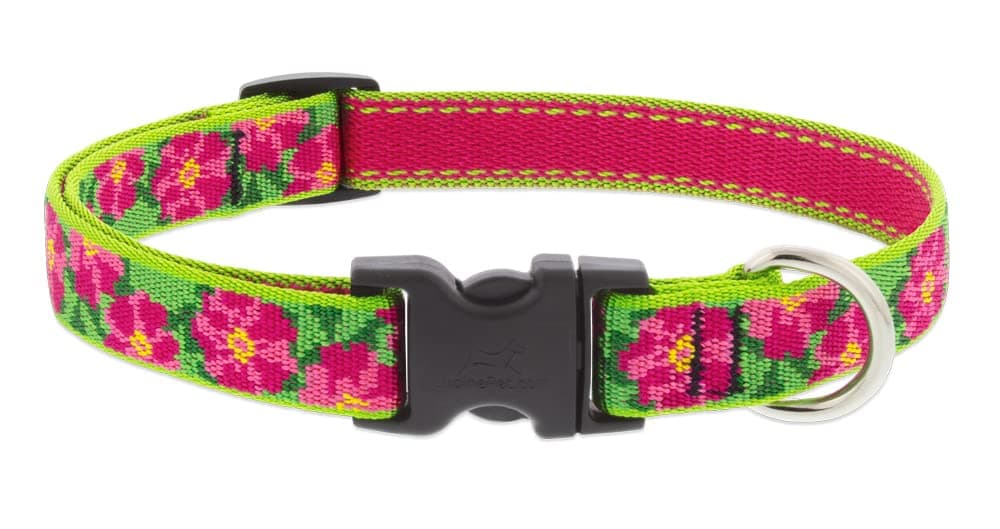 קולר לכלב — Lupine Small Dog Collar 3/4" wide Petunias design Adjusts from 9" to 14"