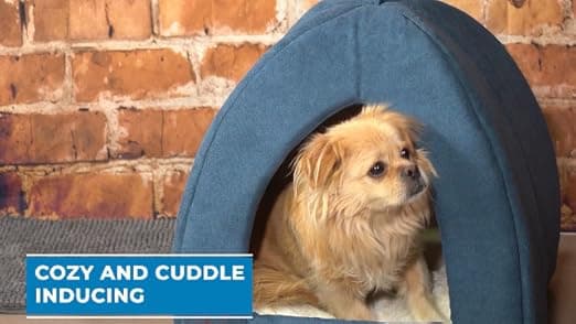 מיטה לכלב קטן — Best Pet Supplies Cat Bed for Indoor Cat, Domed Tent House with Removable Pillow