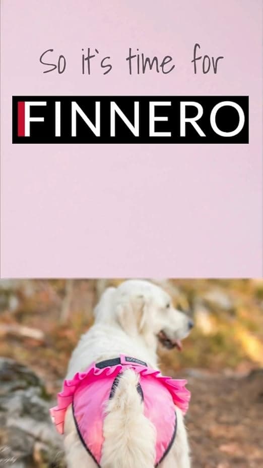 חיתול לכלב — FINNERO Ballerina Dog Diaper – Washable, Reusable, Leak-Proof – Heat, Period & U