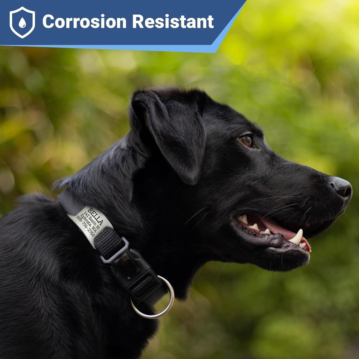 תג שם/זיהוי לכלב — GoTags Slide-On Pet ID Tag, Curved Personalized Dog and Cat,