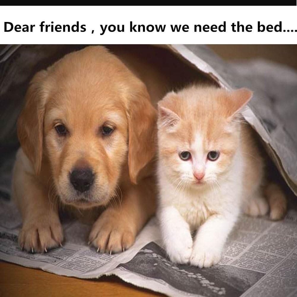 מלונה לכלב — Pet Tent Portable Folding Dog Cat House Bed Tent Waterproof 