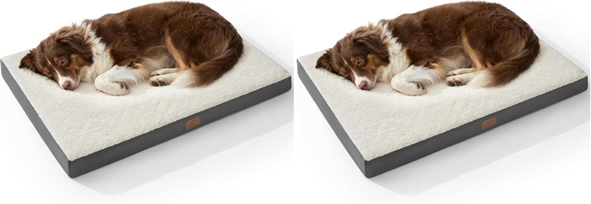 מיטה לכלב גדול — Bedsure 2 PCS Dog Beds Large Sized Dog - Comfy Flat Pet Beds