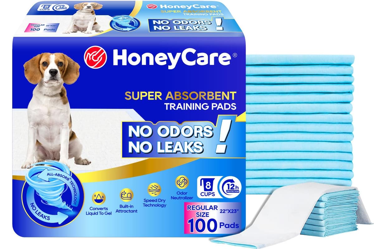 פד לכלב — HONEY CARE All-Absorb A07 Bulk Packaging Training Pads, Blue, Large - 22" x 23" 