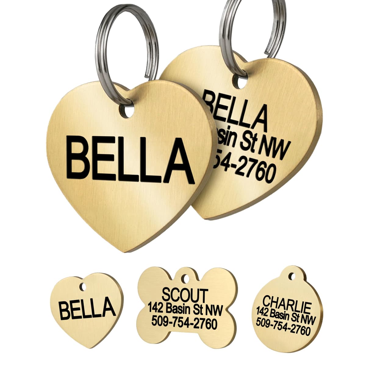 תג שם לכלב — GoTags Personalized Pet ID Tags, Solid Brass Dog Tags and Cat Tags, up to 6 Line