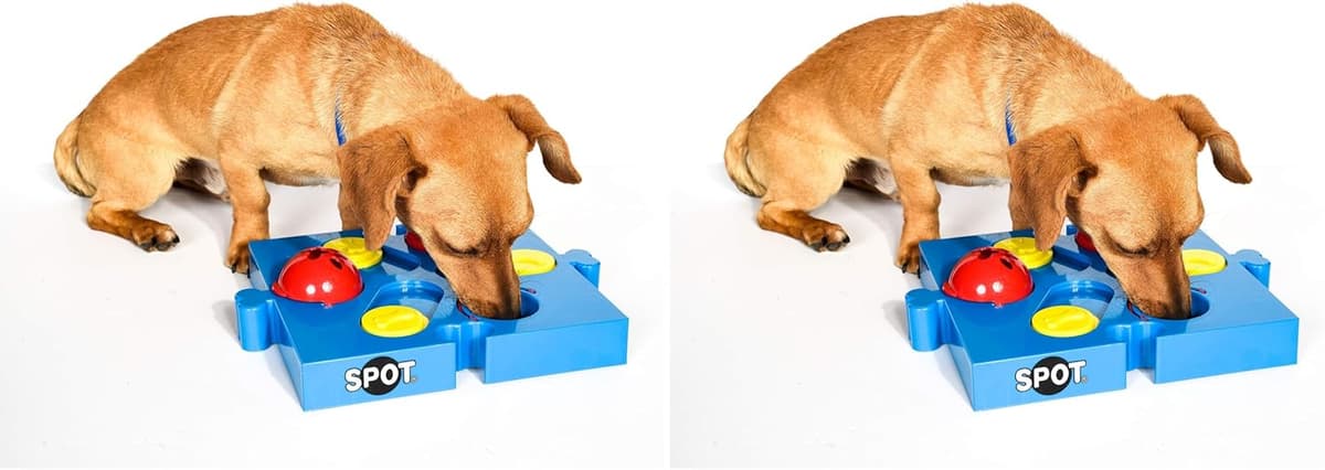 צעצוע חשיבה לכלב — SPOT by Ethical Products Interactive Seek-A-Treat Flip 'N' Slide Dog Toy