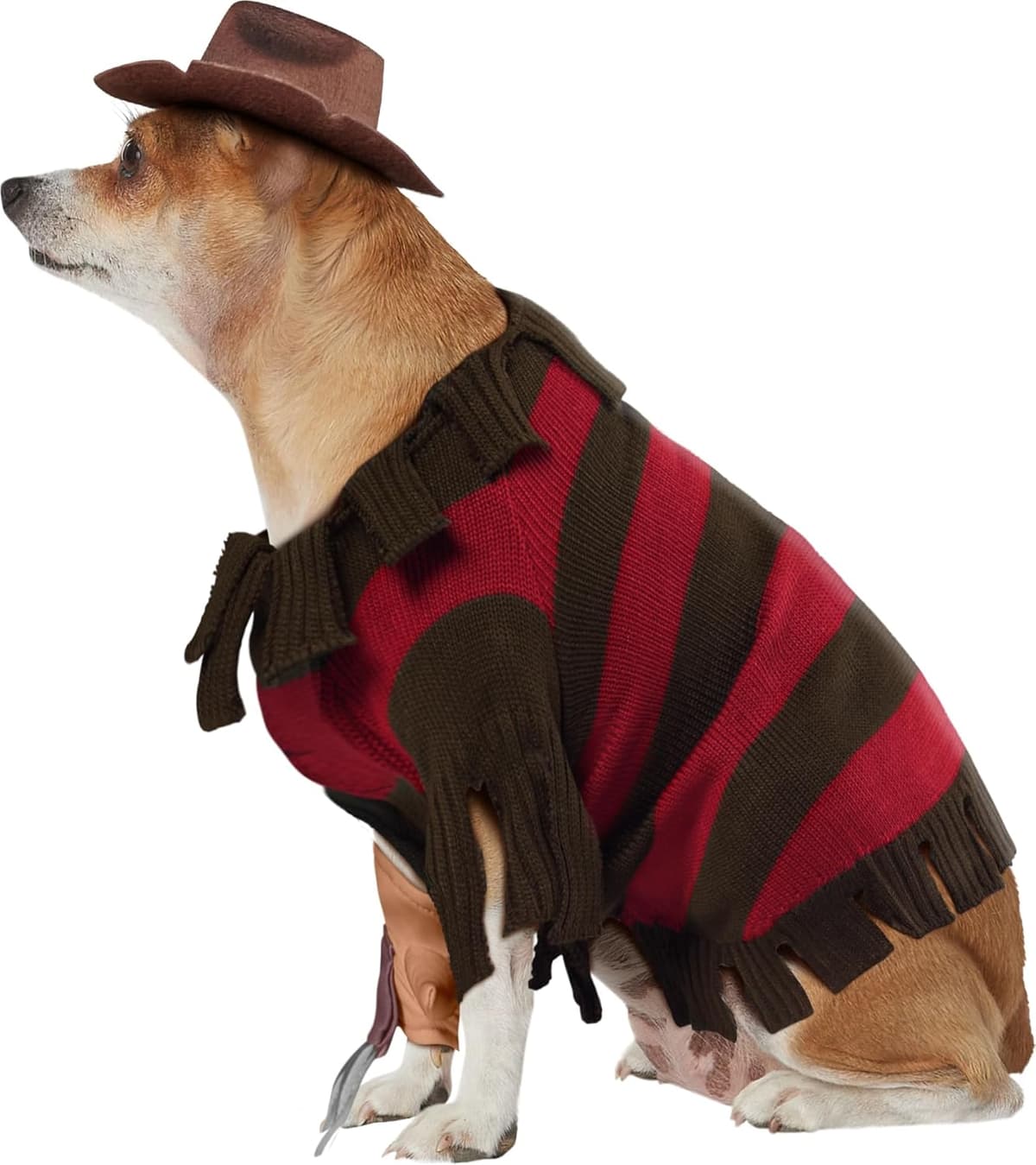 תחפושת לכלב — Rubies A Nightmare on Elm Street: Freddy Krueger Pet Costume