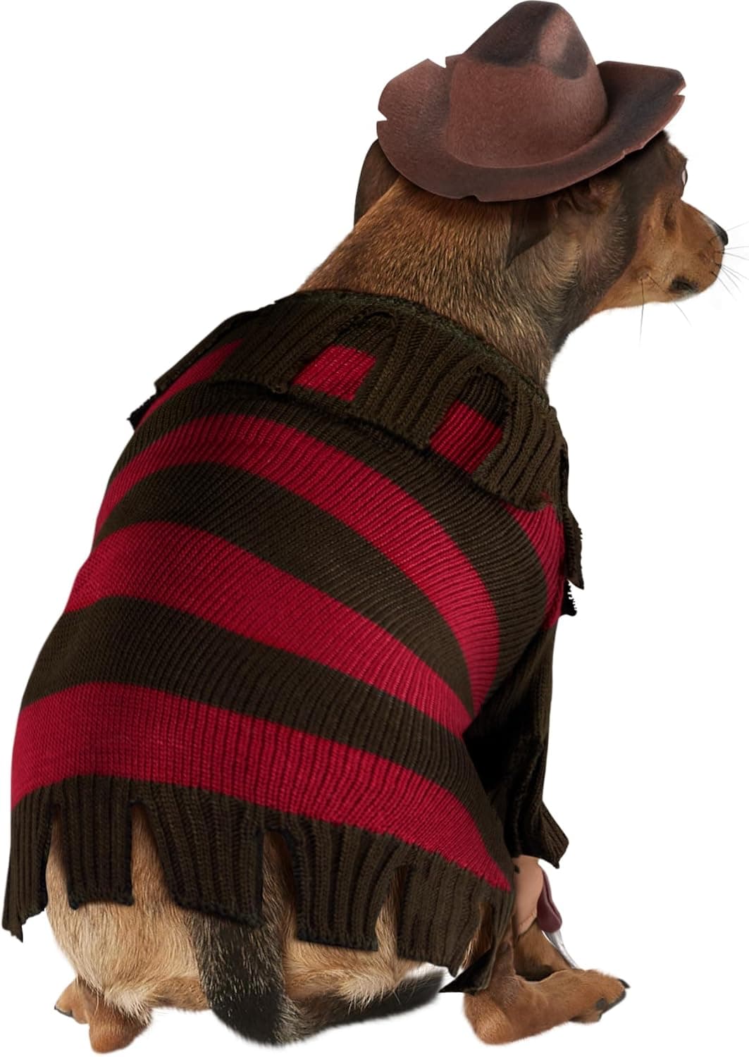 תחפושת לכלב — Rubies A Nightmare on Elm Street: Freddy Krueger Pet Costume