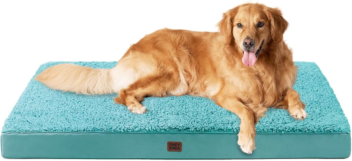 מיטה לכלב גדול — EHEYCIGA Orthopedic XL Dog Beds for Extra Large Dogs with Re