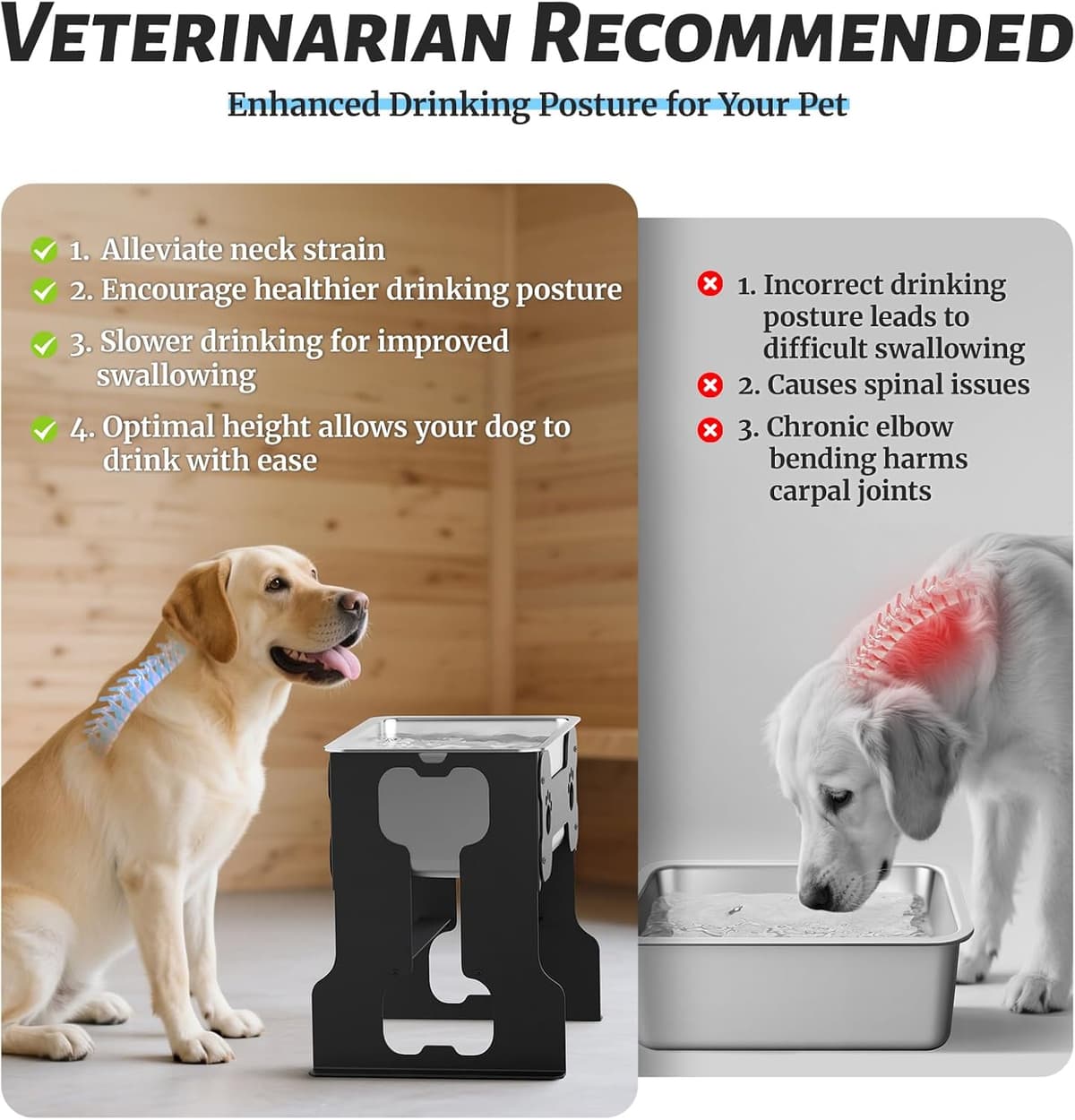 קערת האכלה לכלב — 2.4 Gallon Elevated Large Dog Water Bowl with Full Metal Stand, 14.2" Raised