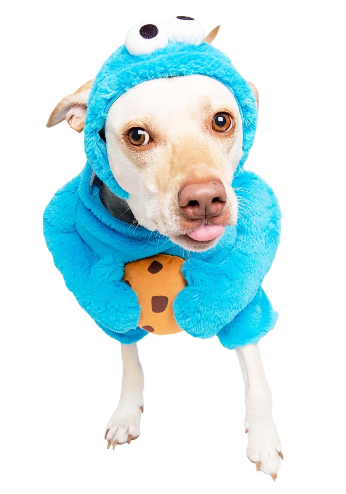 תחפושת לכלב — Pet Krewe Unleash The Parade X-Large Cookie Monster Dog Costume Sesame Street Pe