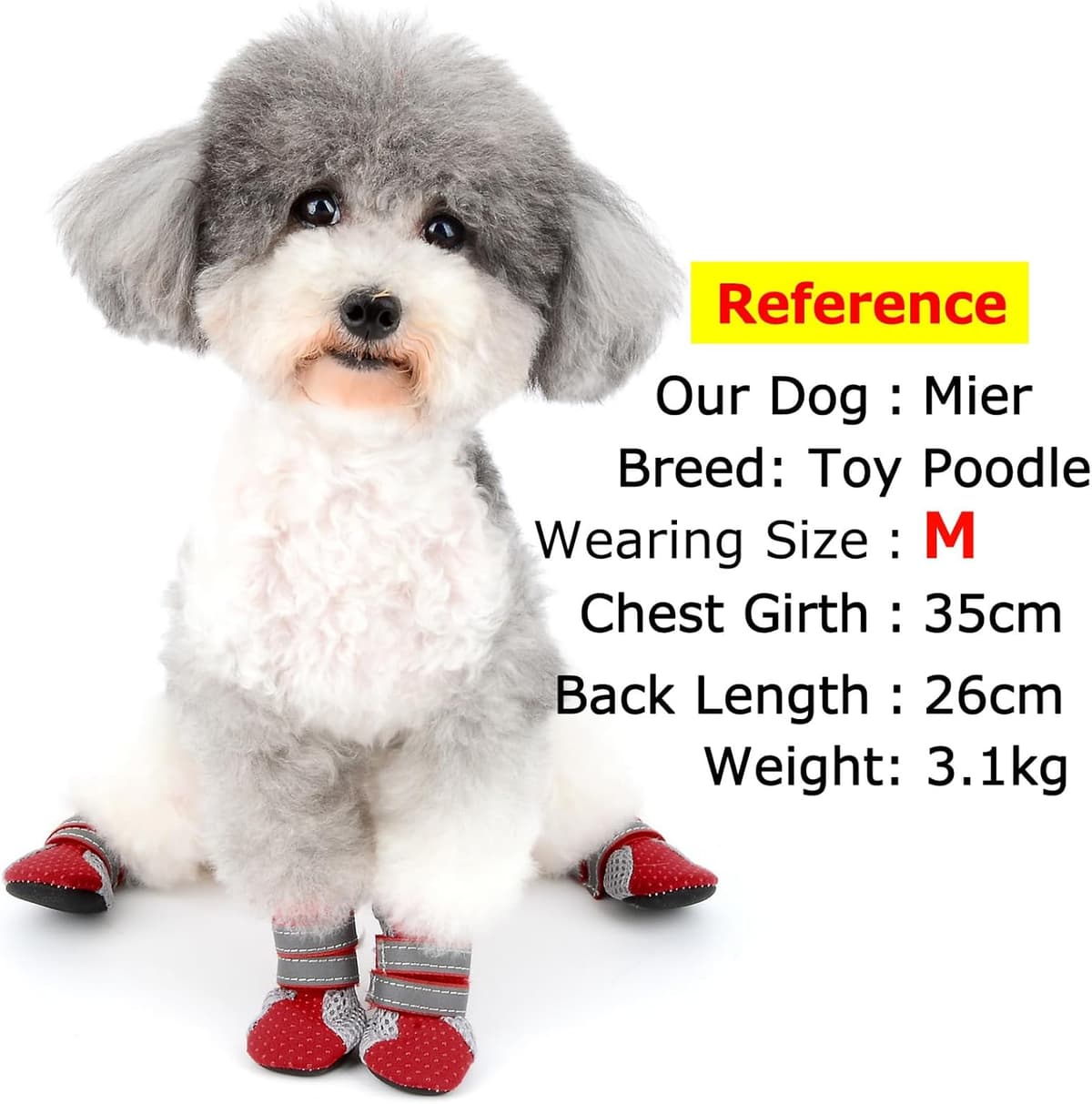 נעליים/מגפיים לכלב — Zunea Dog Boots for Hot Pavement Summer Breathable Soft Mesh