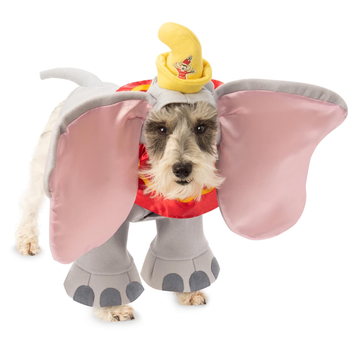 תחפושת לכלב — Disney: Dumbo Costume for For Dogs or Cats by Rubies, Small