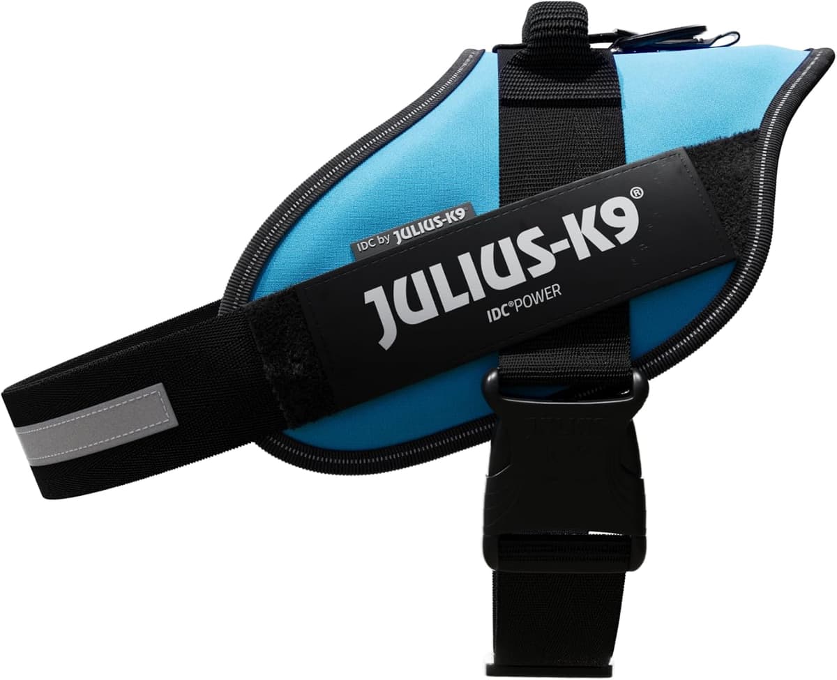 רתמה/רצועה לכלב — Julius-K9, 16IDC-AM-2, IDC Powerharness, Dog Harness, Size: 2, Aquamarine