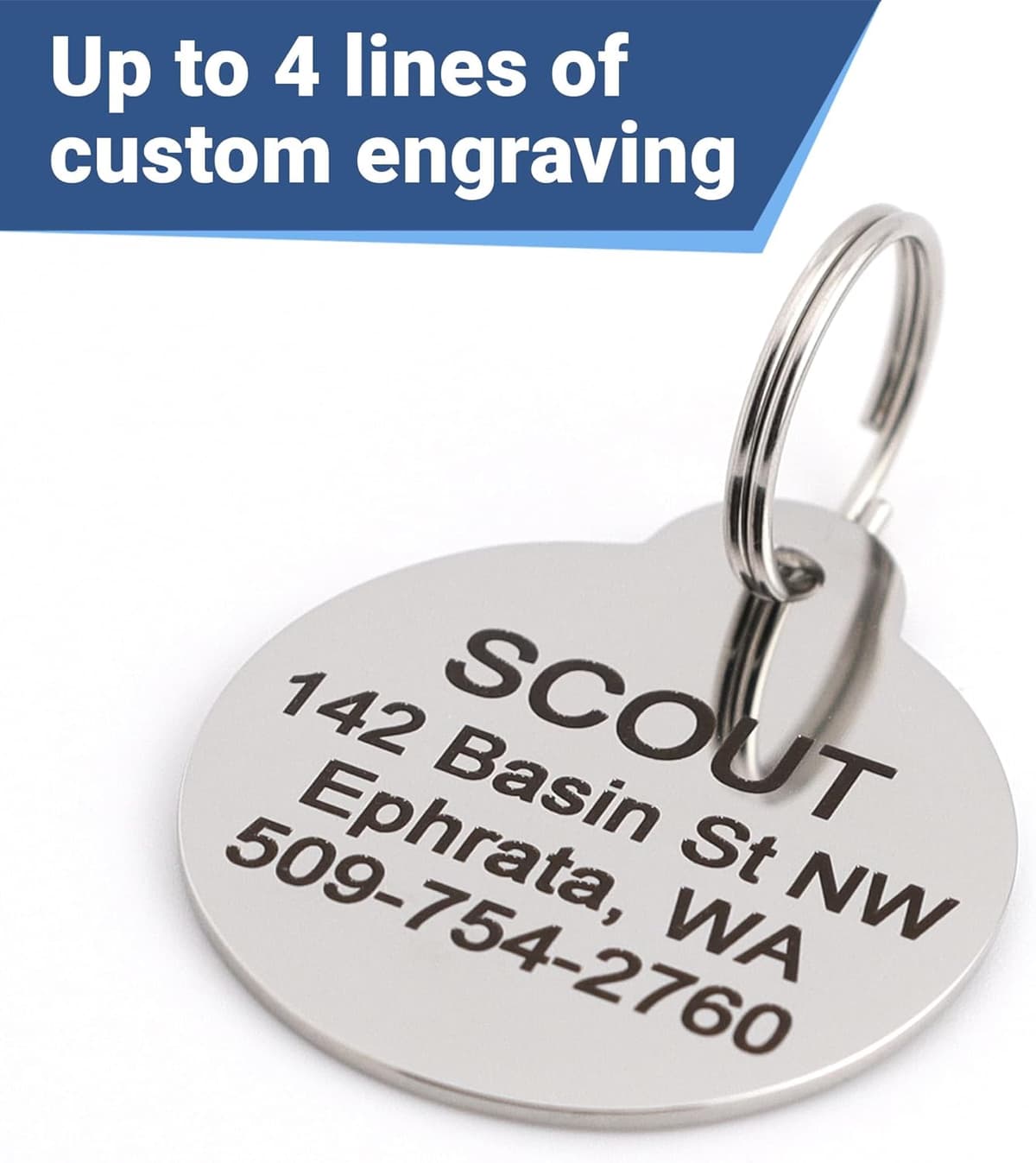 תג שם/זיהוי לכלב — GoTags Paw Print Round Stainless Steel Pet Tag for Dogs and 