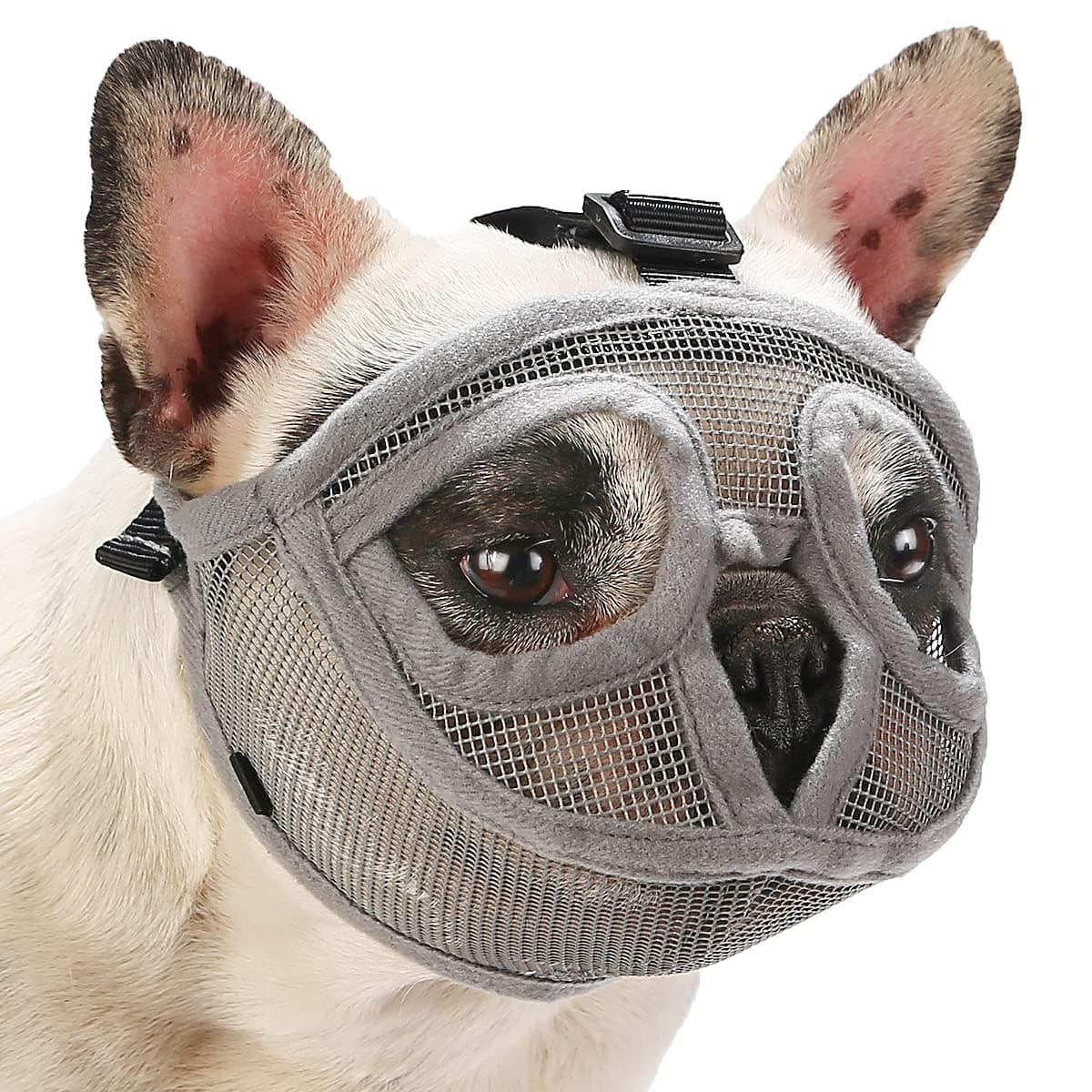 מחסום פה לכלב — Soft Silicone Flat Faced Muzzle Size S and Grey Bulldog Muzzle Size XXS Set for 