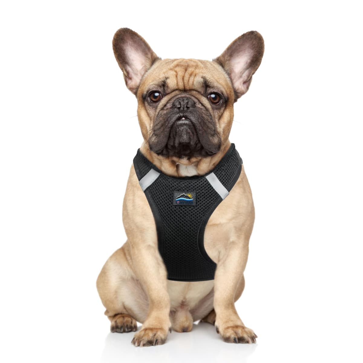 רתמה לכלב — Doggie Design Dog Harness - No Choke Dog Harness, Dog Vest, Mesh Polyester, Pet 