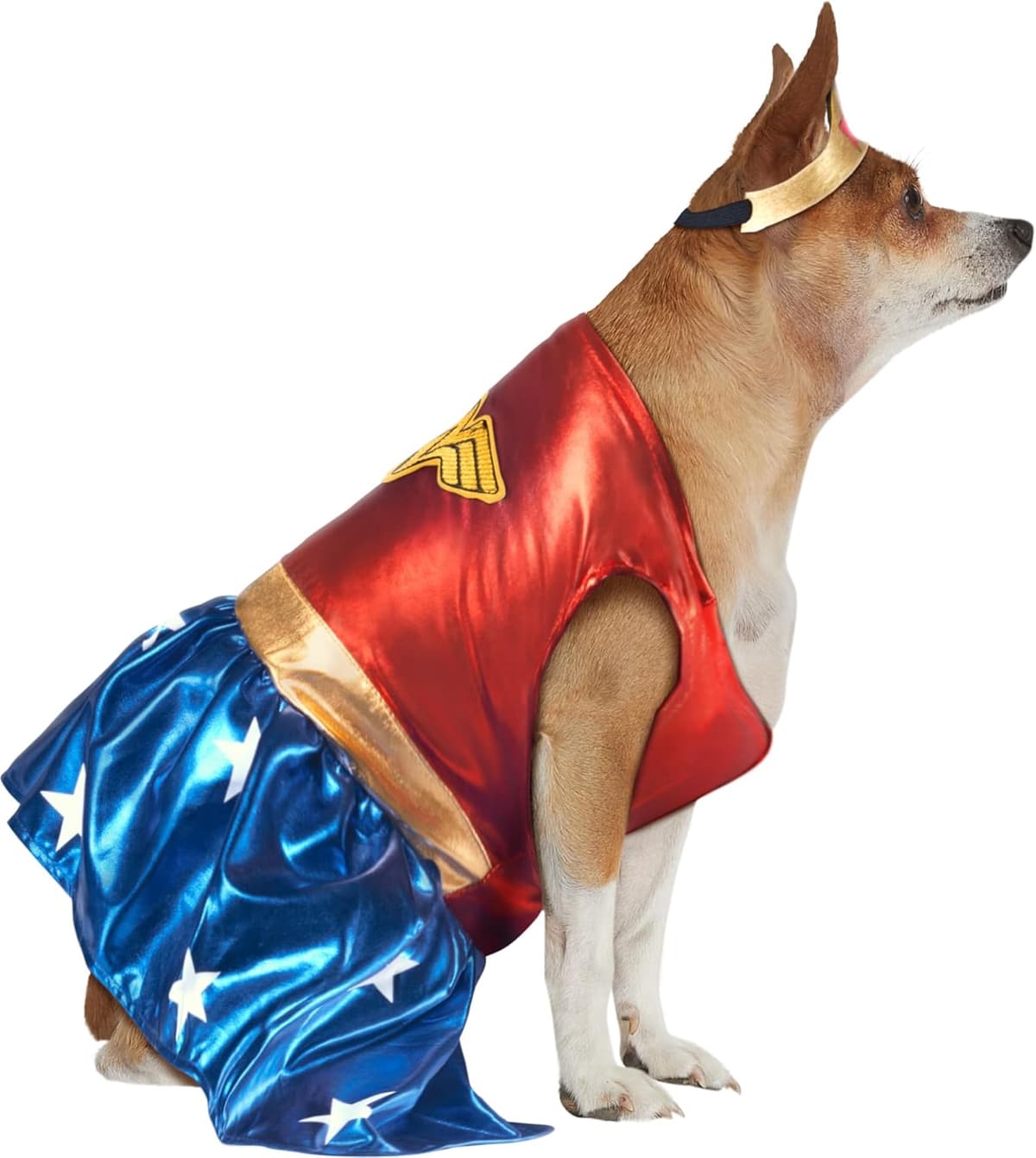 תחפושת לכלב — DC Comics: Wonder Woman Pet Costume for For Dogs or Cats by 
