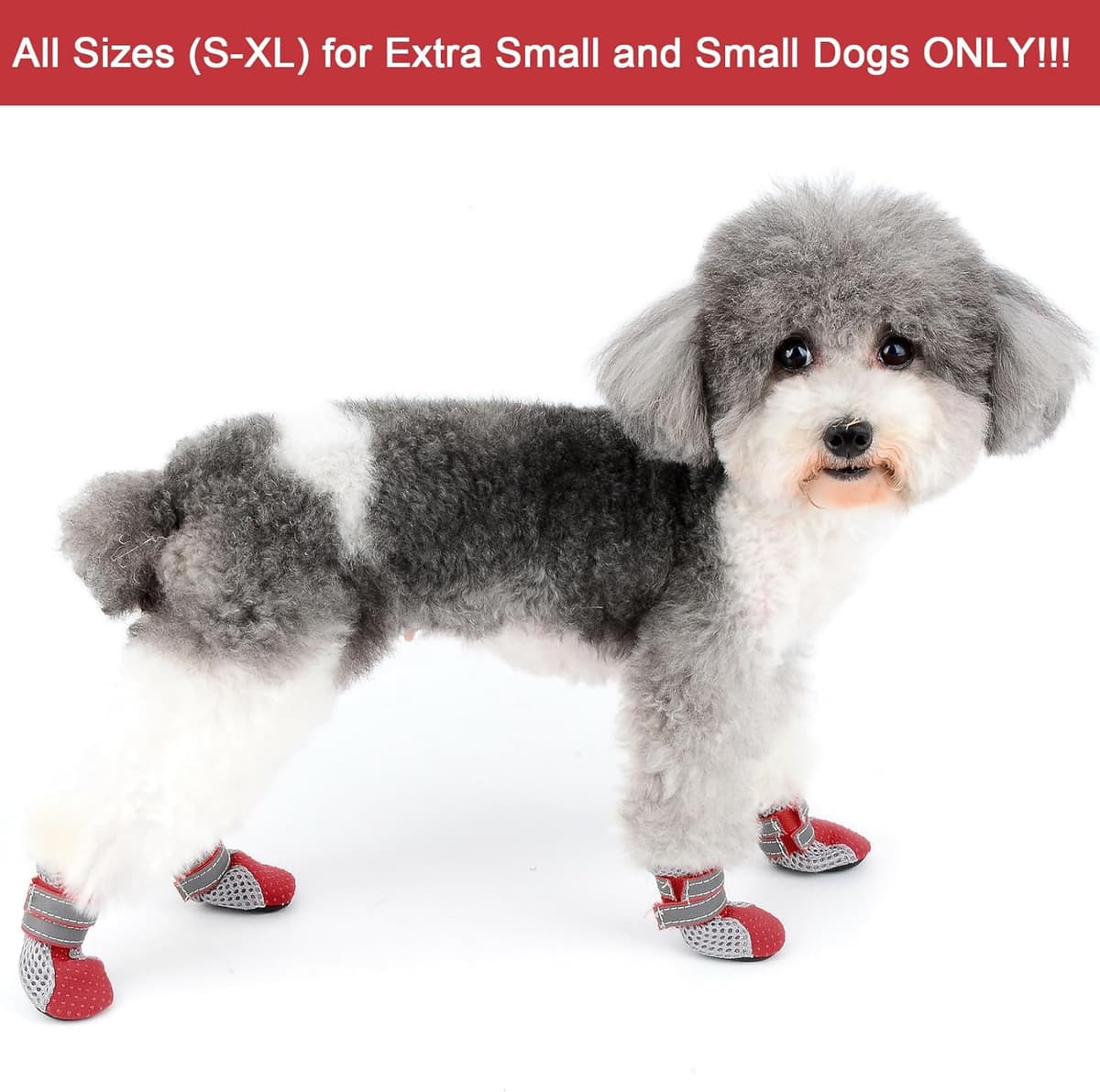 נעליים/מגפיים לכלב — Zunea Dog Boots for Hot Pavement Summer Breathable Soft Mesh