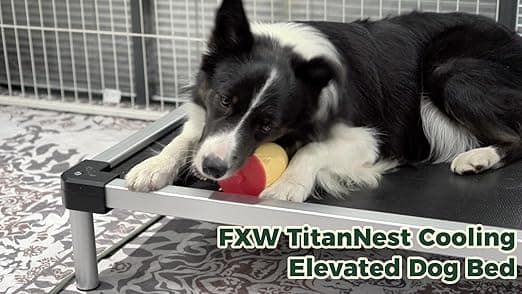 מיטה לכלב גדול — FXW TitanNest Chew-Proof Elevated Dog Bed, Raised Cot for Indoor/Outdoor/Camping