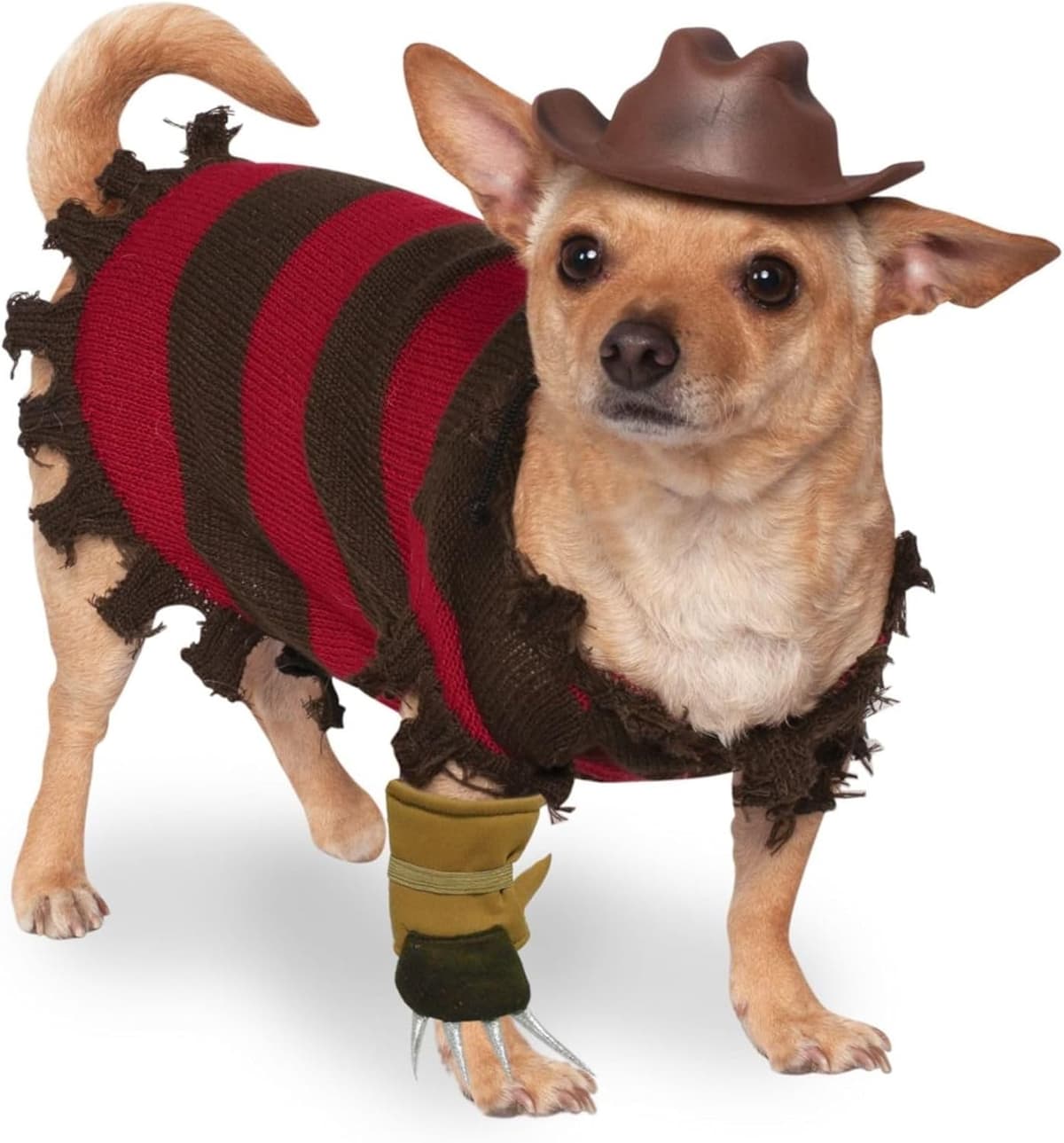 תחפושת לכלב — Rubies A Nightmare on Elm Street: Freddy Krueger Pet Costume