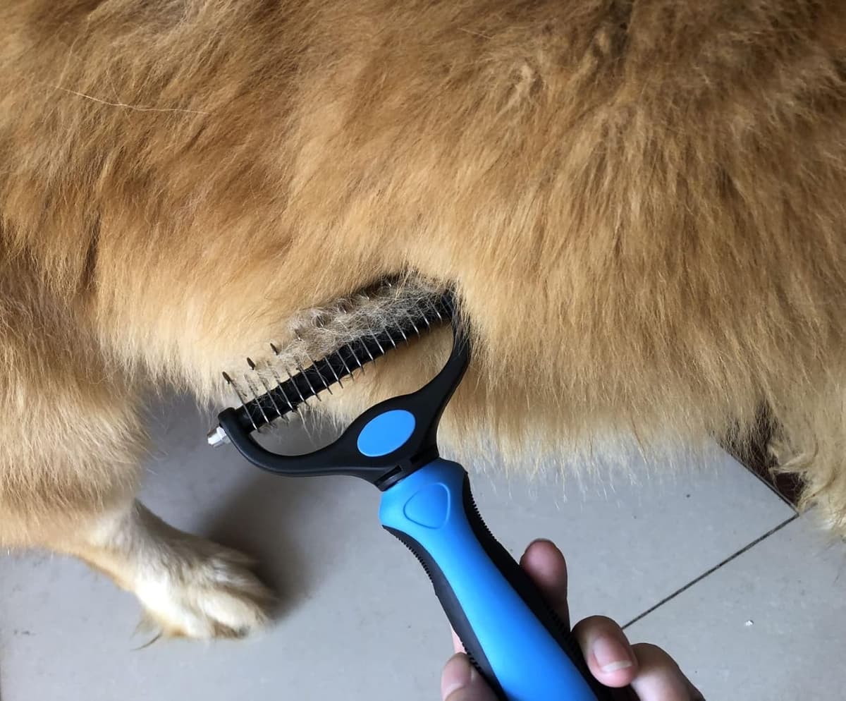 מברשת טיפוח לכלב — Pet Grooming Brush &amp; Nail Clippers Trimmers - Double Sided Shedding and Dema